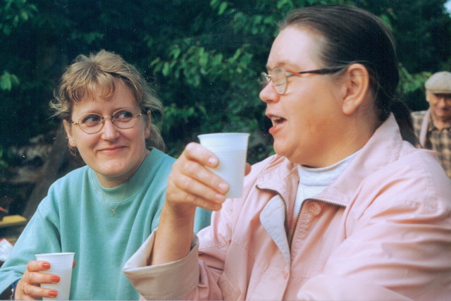 Furudal-festival 1996