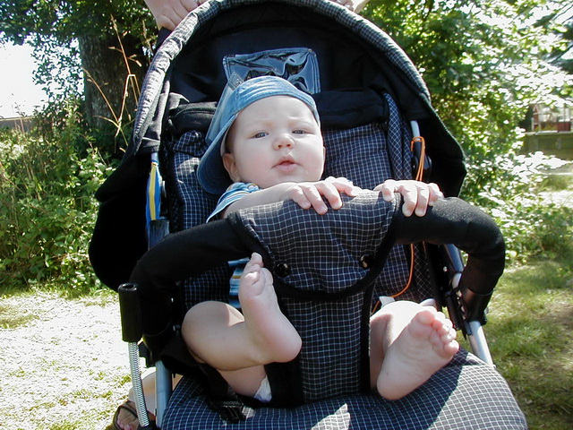 Furudal-festival 2002