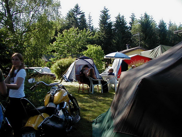 Furudal-festival 2002