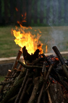 Furudal-festival 2007