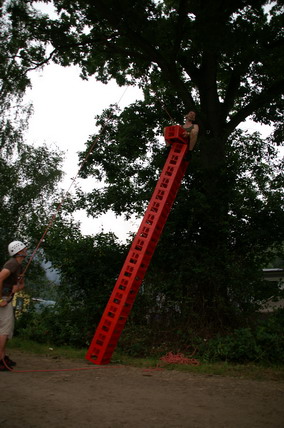 Furudal-festival 2007