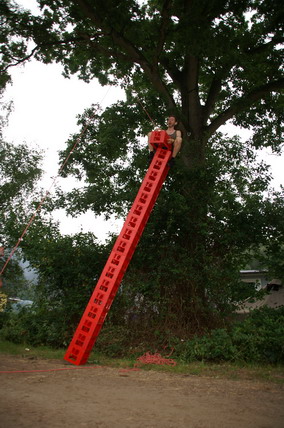 Furudal-festival 2007