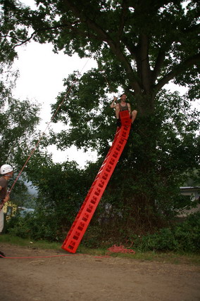 Furudal-festival 2007