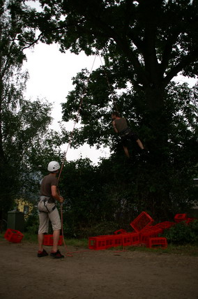 Furudal-festival 2007