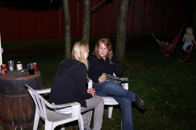 Furudal-festival 2007