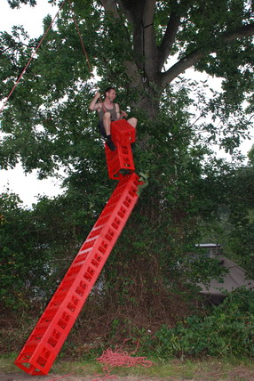 Furudal-festival 2007