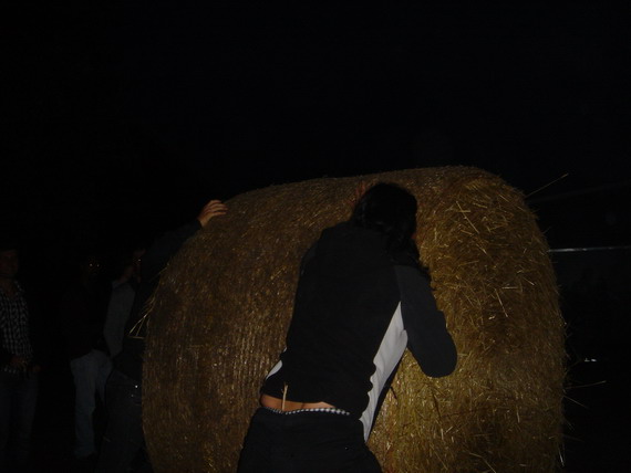 Furudal-festival 2007