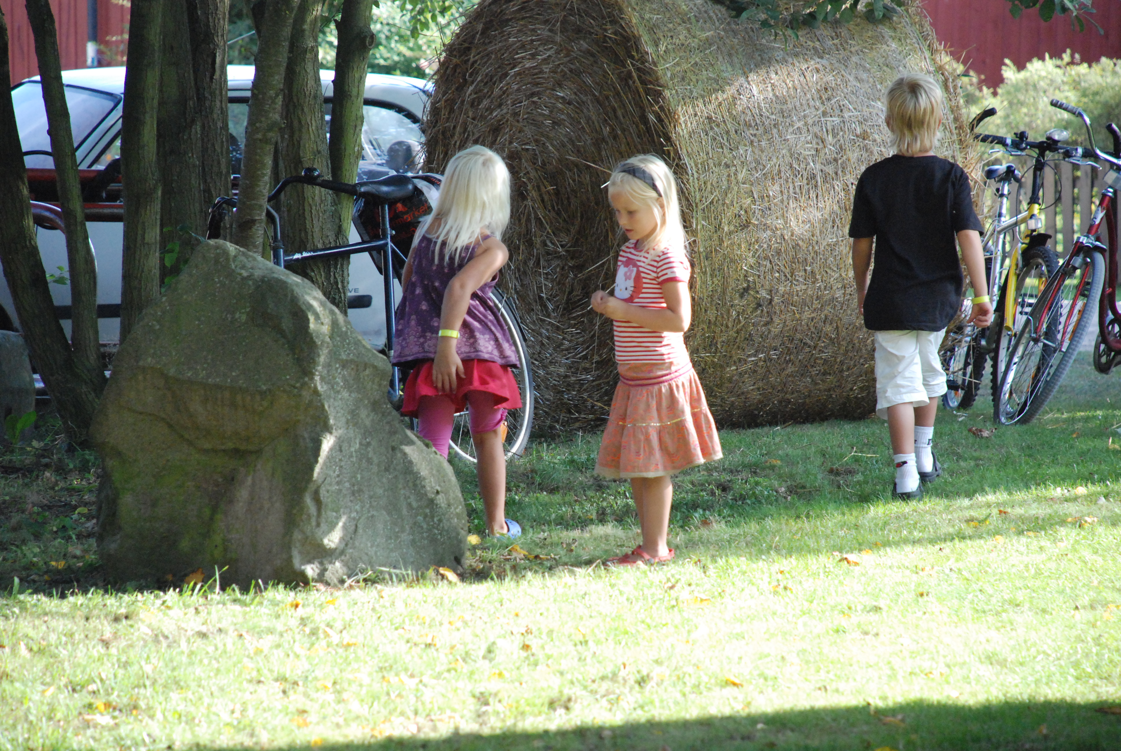 Furudal-festival 2009