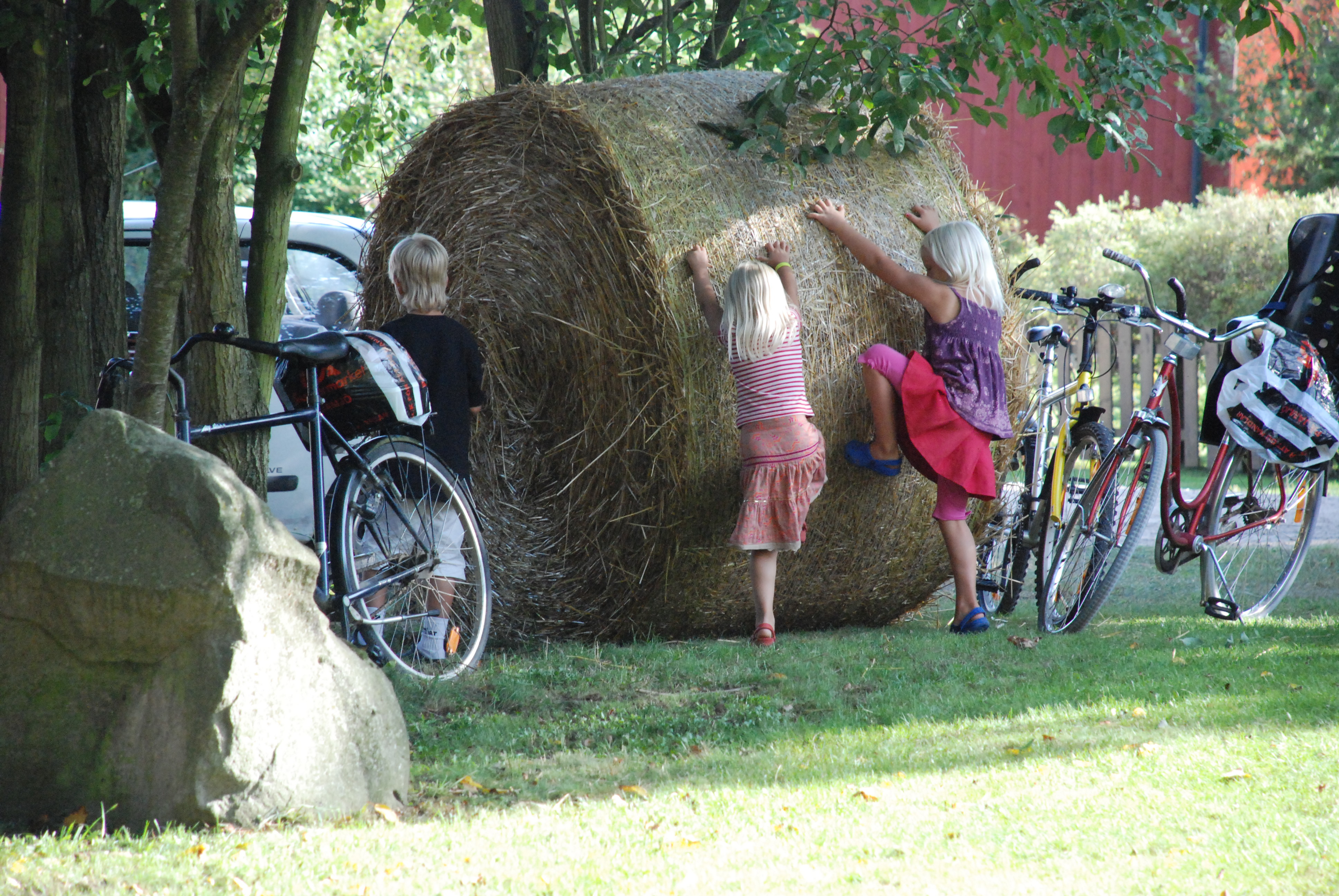 Furudal-festival 2009
