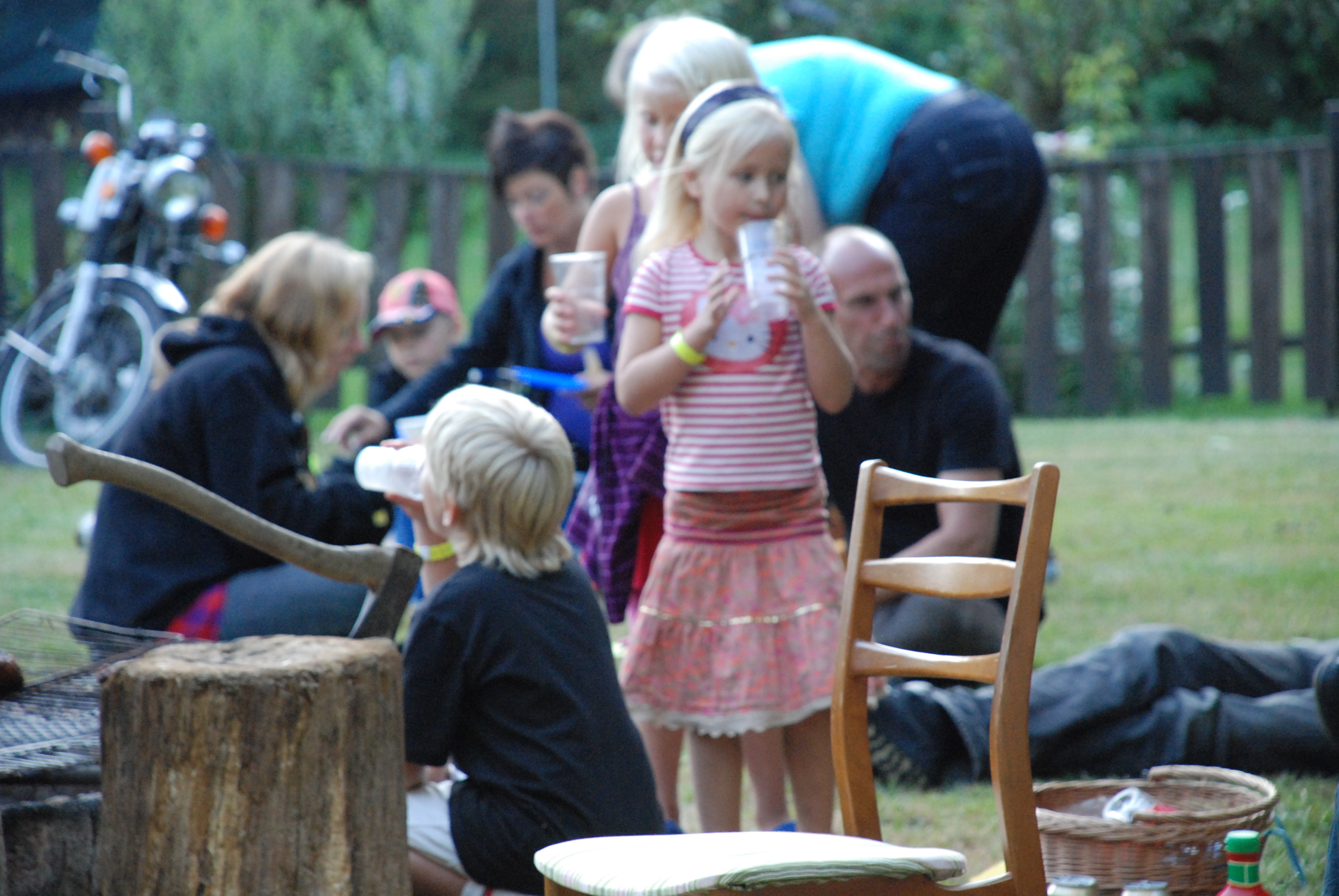 Furudal-festival 2009