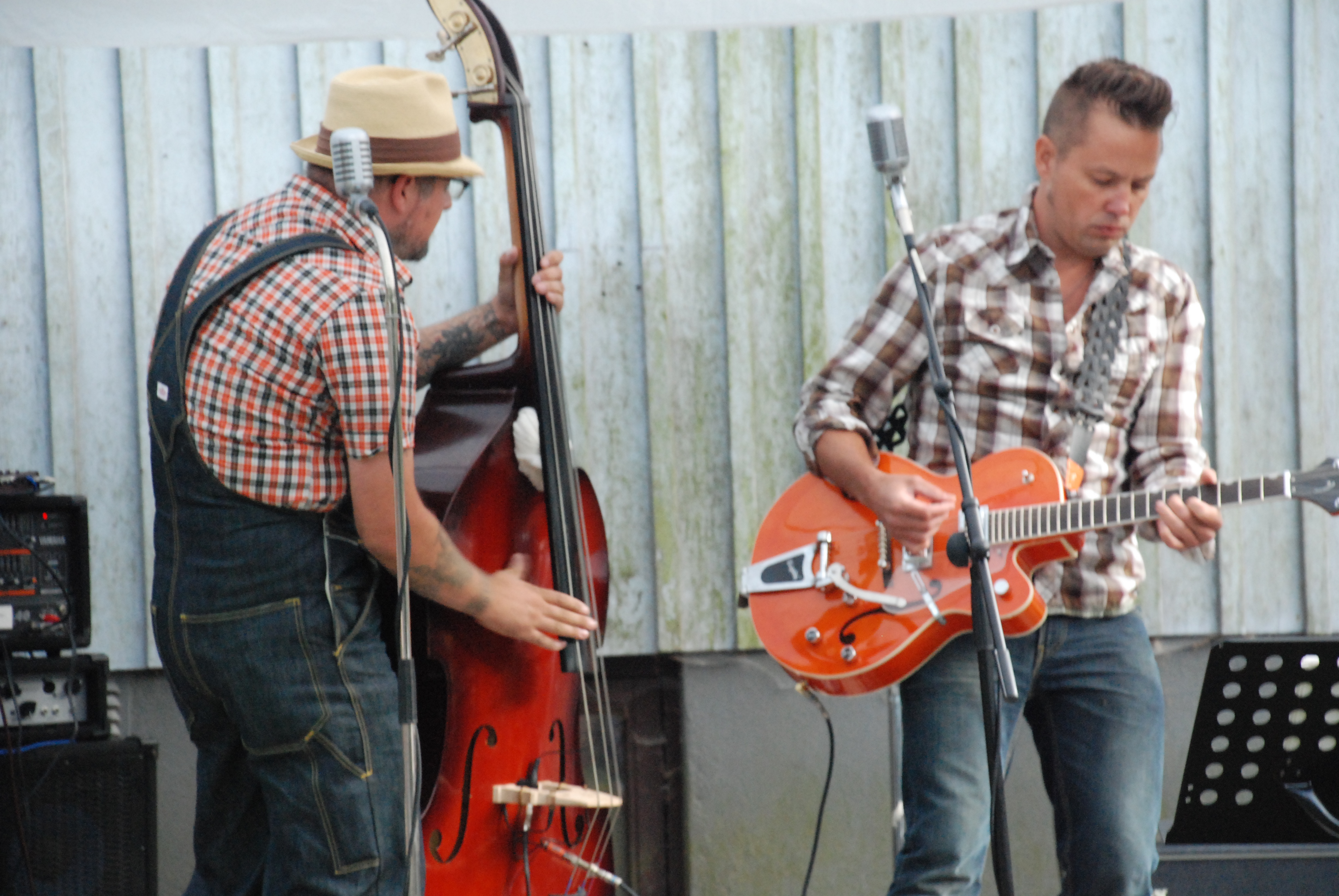 Furudal-festival 2009