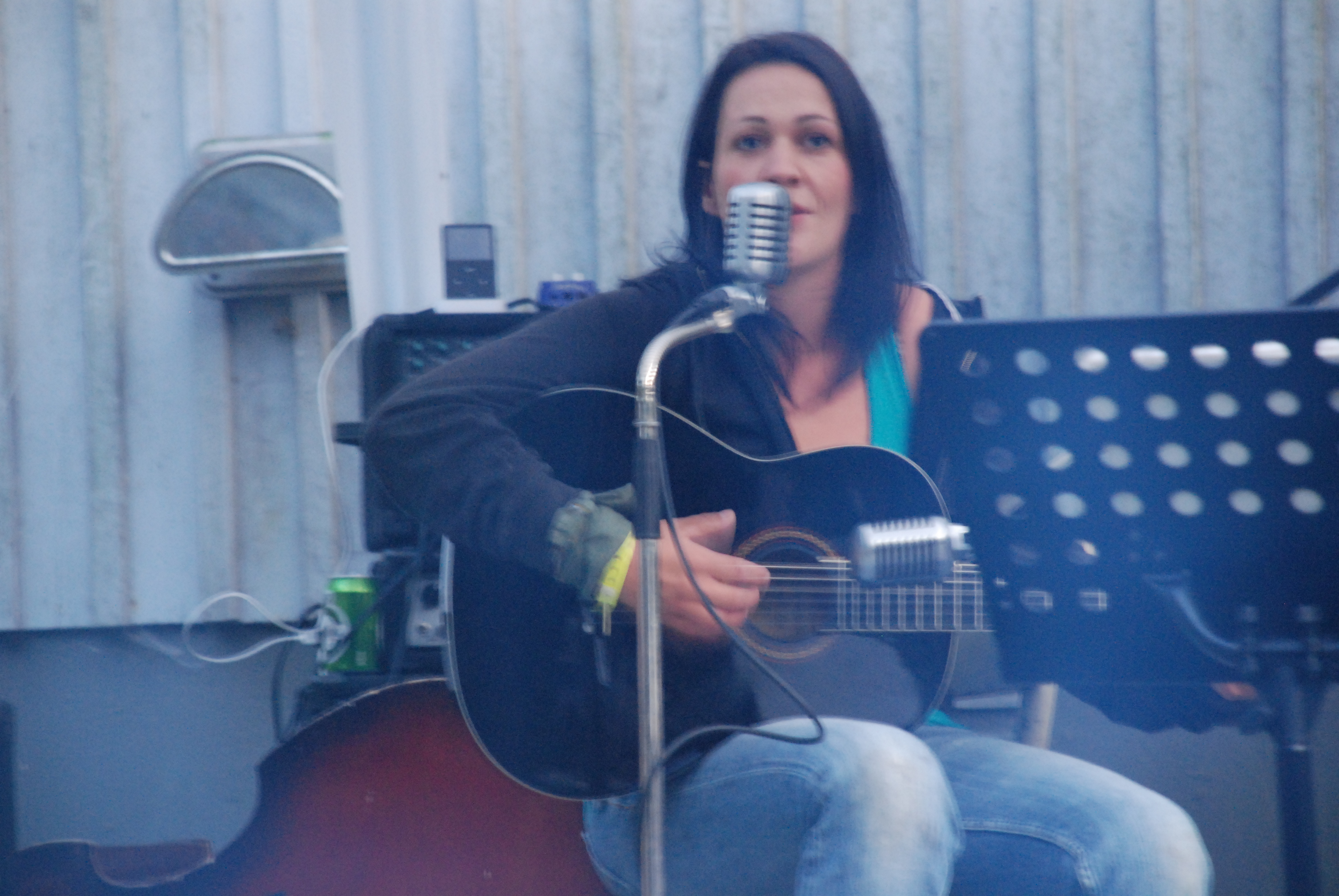 Furudal-festival 2009