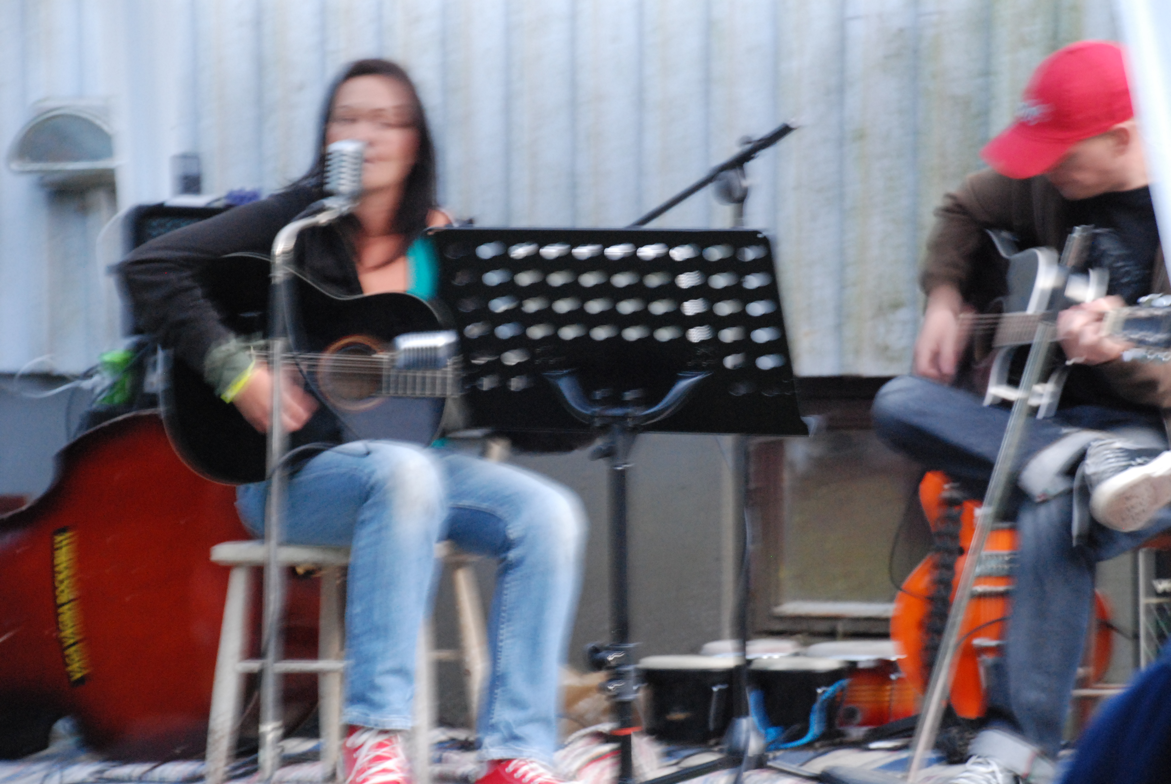 Furudal-festival 2009