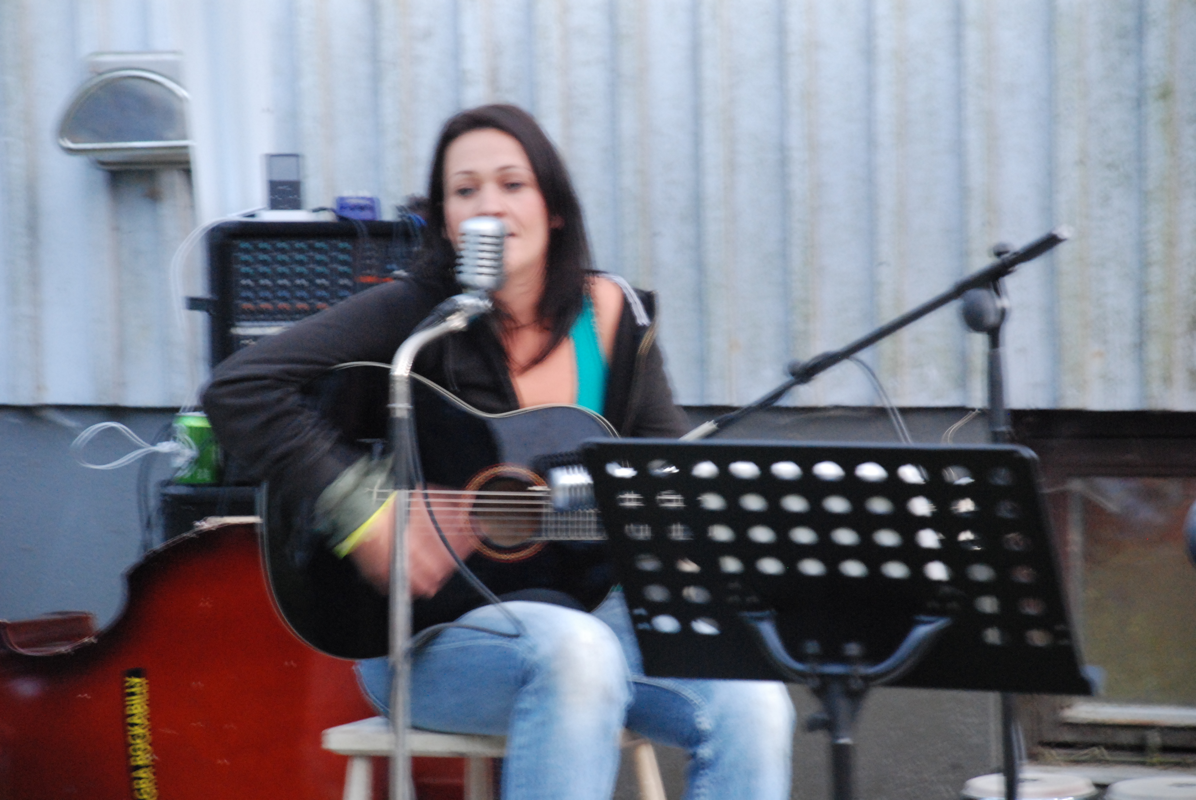 Furudal-festival 2009