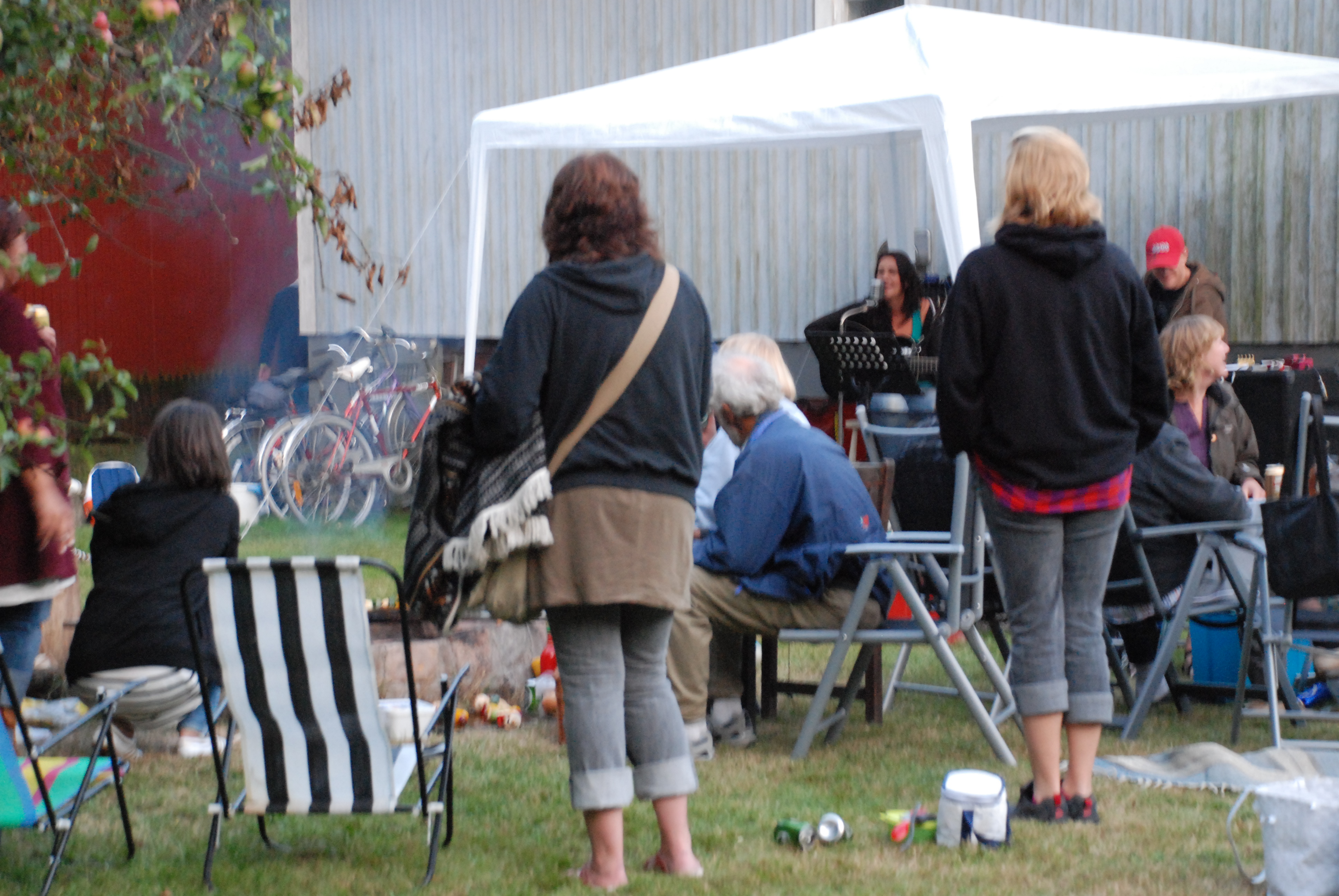 Furudal-festival 2009