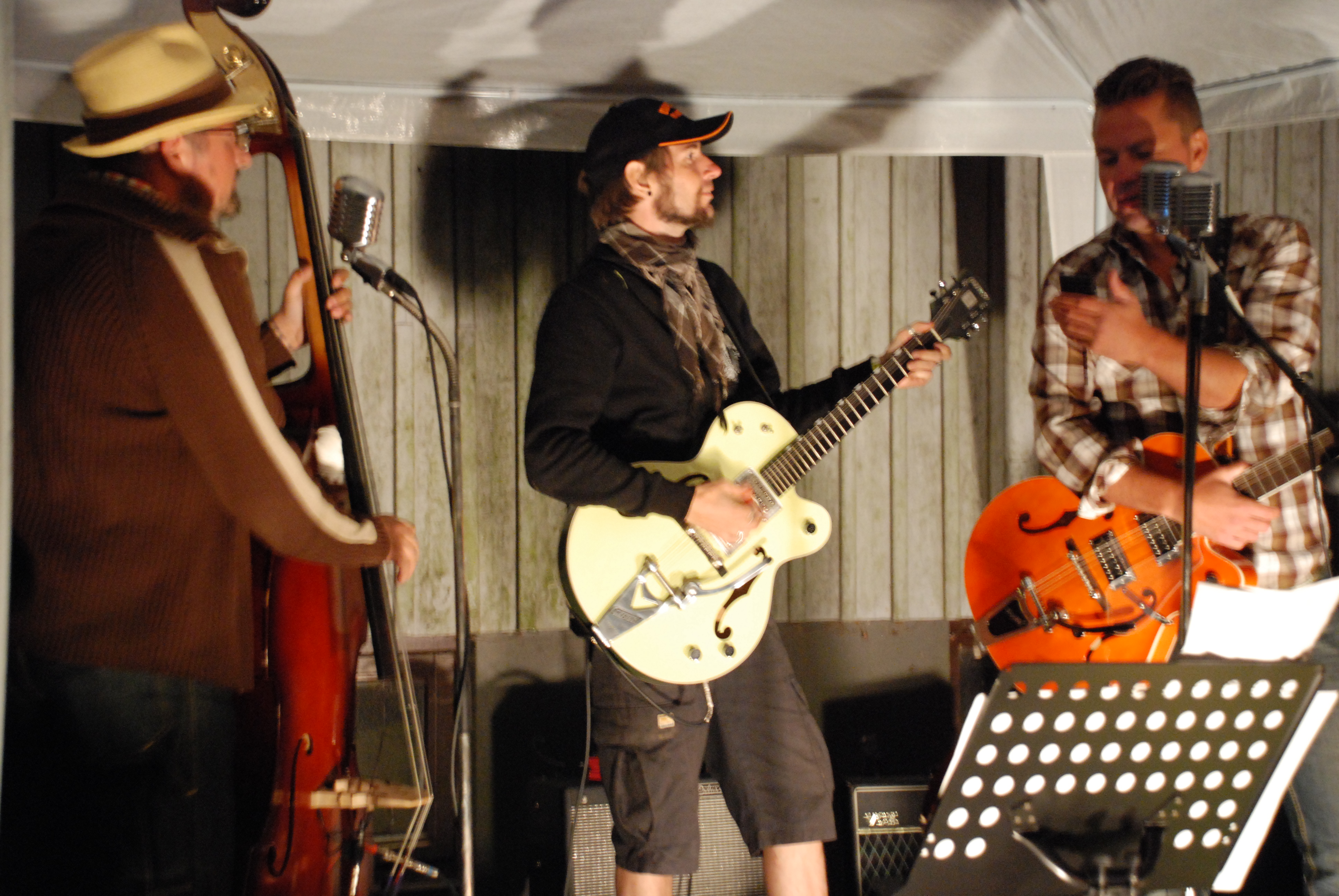 Furudal-festival 2009